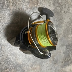 Daiwa ダイワ　レブロスLT4000-CXHの画像