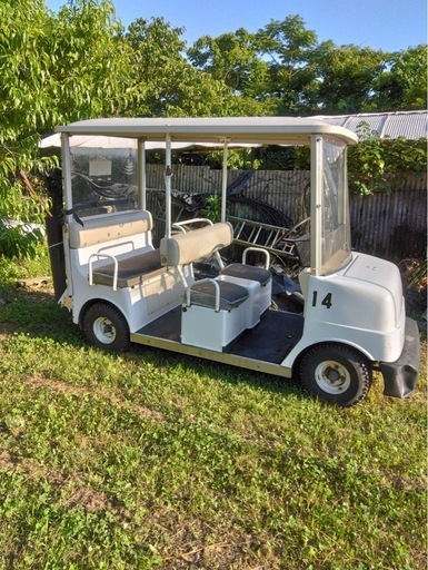 ⭐︎代理出品⭐︎  ゴルフカート