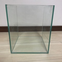 水槽 GEX