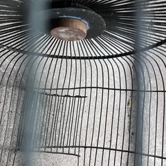 銅製鳥籠の画像