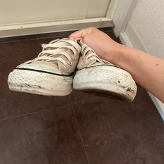 コンバース　ベージュの画像