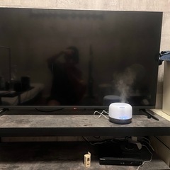 GREEN HOUSE TV50インチ　テレビ台付き
