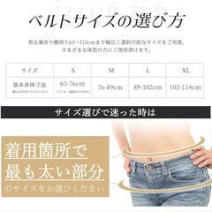 【オールグゥ】Allgu-BELT 滑車式骨盤ベルト　Lサイズの画像