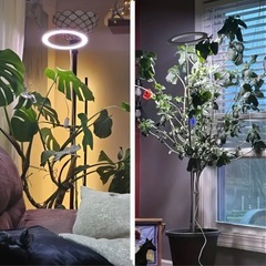 植物育成ライト 観葉植物 タイマー　