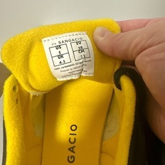 SANGACIO 
にゅ～ず “7周年記念モデル”の画像