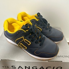 SANGACIO 
にゅ～ず “7周年記念モデル”の画像