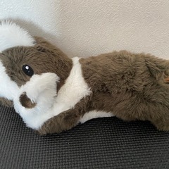 ぬいぐるみ　すみっコぐらし　スヌーピーの画像