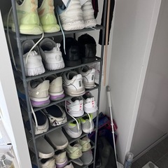 棚