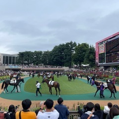 日本ダービー！現地観戦の方はいますか〜😃競馬仲間・グループメンバー募集！ − 東京都