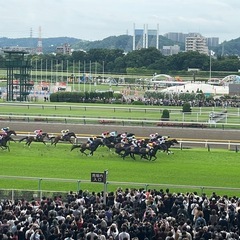 日本ダービー！現地観戦の方はいますか〜😃競馬仲間・グループメンバー募集！ - 友達