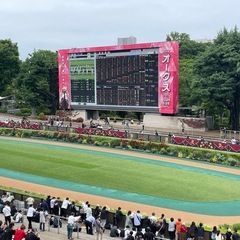 日本ダービー！現地観戦の方はいますか〜😃競馬仲間・グループメンバー募集！ - 中野区
