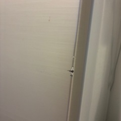 6/20金受取限定　冷蔵庫の画像