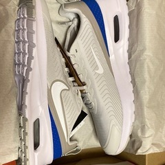【週末値下げ】NIKE エアマックスSC スニーカー 28.0cm グレーの画像