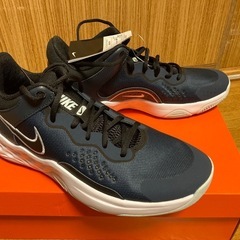 【週末値下げ】NIKE FLY. BY. MID.3. 27.5cm ネイビーの画像