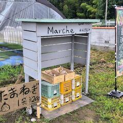 玉ねぎ一袋200円　農家直売