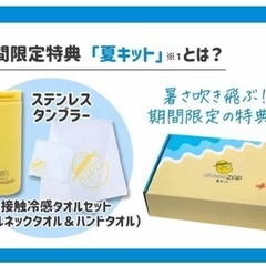 chocoZAP 夏キット 2024の画像