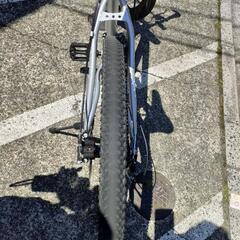 自転車「グレー」