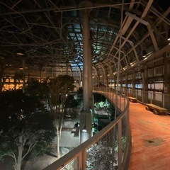 素で語り合える楽な友達！！