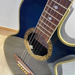 エレアコ　ARIA ケース付きの画像