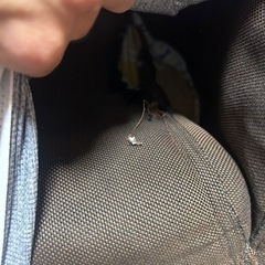 難あり　ソファーの画像