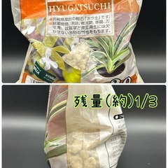 園芸用土・コケ4点セット（中古）｜ハイゴケ・水苔・ハイドロボール・ひゅうが土【手渡し限定】の画像