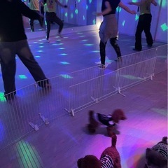  ZUMBA（ワンコも一緒に）の画像