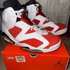 【今週まで値下げ中】AIR JORDAN 6 RETRO GAT...