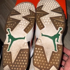 【今週まで値下げ中】AIR JORDAN 6 RETRO GATORADE ２７㌢の画像