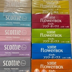 【お取引決定】ティッシュ20箱　キッチンタオル4ロールの画像