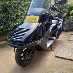 フュージョン　250