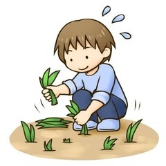 ボランティアで草むしりします♪