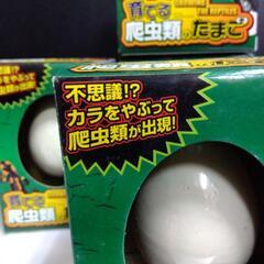 厚木方面🆗１つ￥660の品育てる爬虫類の卵３個で❗️の画像