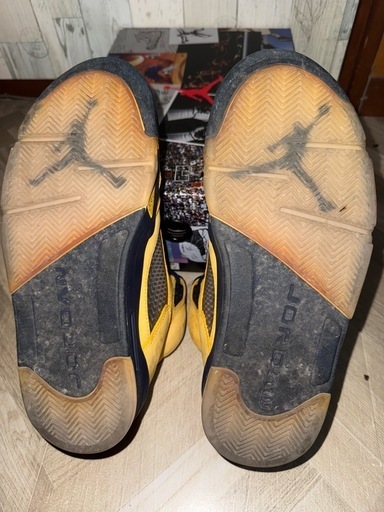 NIKE AIR JORDAN 5 RETRO SE MICHIGAN 『27㌢』