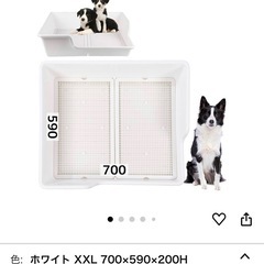 犬　トイレトレー　レギュラーサイズ2枚サイズ