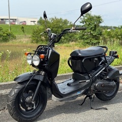 ホンダ ズーマー50cc バイク 原付 50cc ズーマー山口県 広島県 福岡県の画像