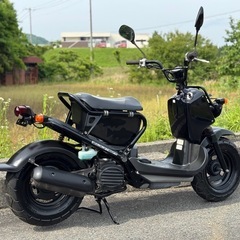 ホンダ ズーマー50cc バイク 原付 50cc ズーマー山口県 広島県 福岡県の画像