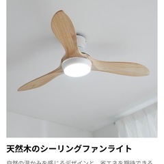 シーリングファンライト(新品未使用)