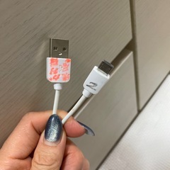 充電ケーブル③の画像