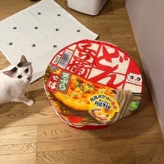 ペット用ベッド　どん兵衛　丸型