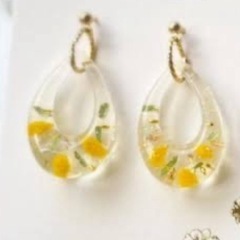 ミモザ　花部分の画像