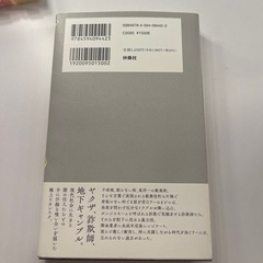実話小説　Z李　飛鳥クリニックは今日も雨の画像
