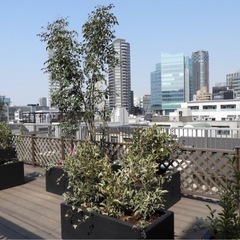 六本木ホテル − 東京都