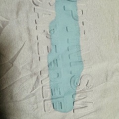 膨らみロゴのTシャツの画像