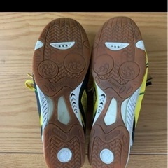 フットサルシューズの画像