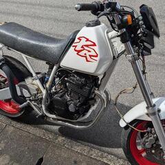 魔改造！！XLR250 NSR250足回り モタード　ターミネータの画像