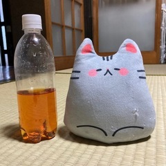 ダイソーのネコ型ドアストッパー