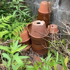 植木鉢