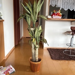 造花、観葉植物