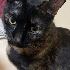 可愛がって下さい