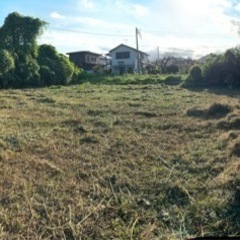 刈払機で草刈りします